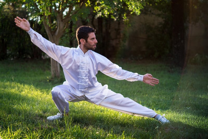 Tai Chi Workshops